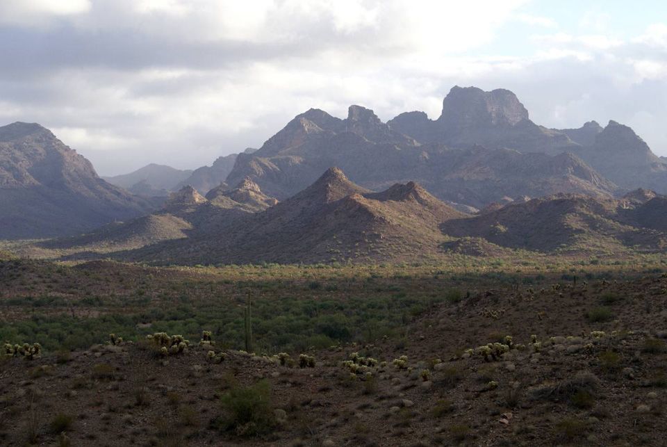 Organ Pipe National Monument